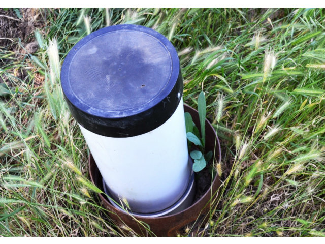 11151 WIMER Road, LINDEN, California 95236, ,Comm Lots And Land,For Sale,WIMER Road,40962756