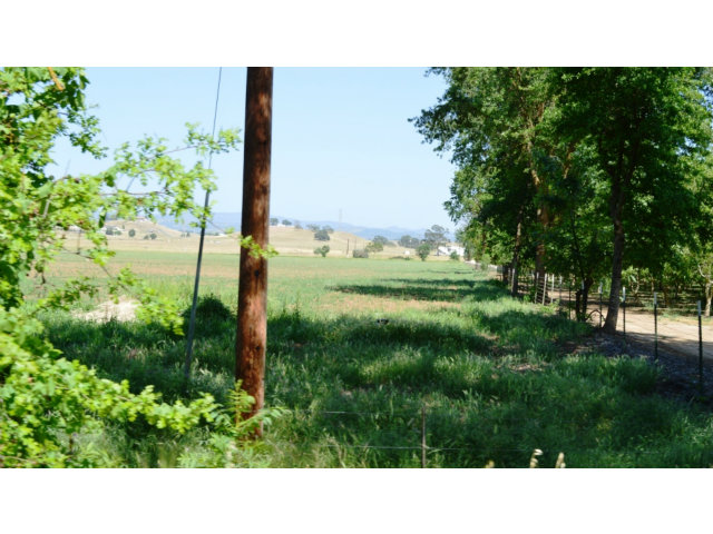 11151 WIMER Road, LINDEN, California 95236, ,Comm Lots And Land,For Sale,WIMER Road,40962756