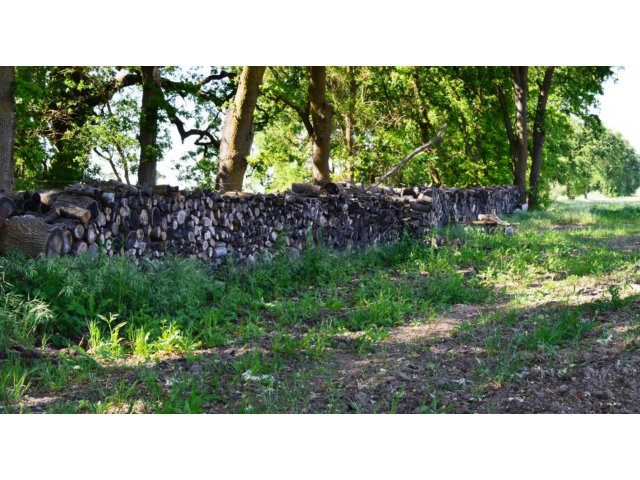 11151 WIMER Road, LINDEN, California 95236, ,Comm Lots And Land,For Sale,WIMER Road,40962756