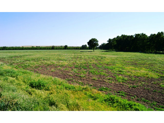 11151 WIMER Road, LINDEN, California 95236, ,Comm Lots And Land,For Sale,WIMER Road,40962756