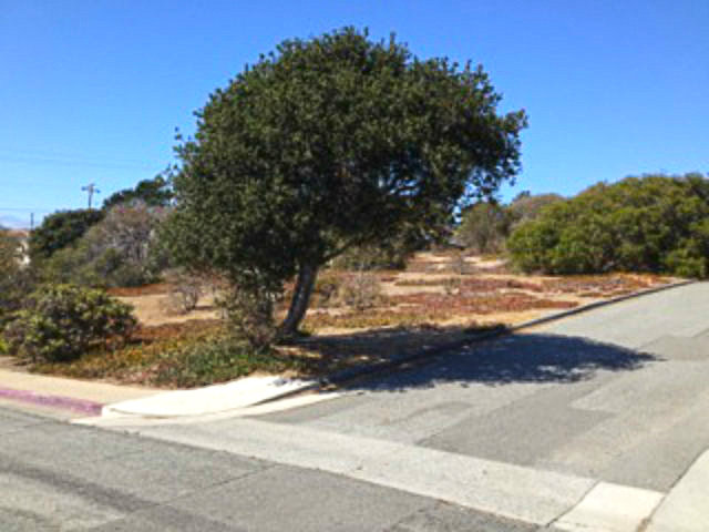 0 KIMBALL Avenue, SEASIDE, California 93955, ,Lots And Land,For Sale,KIMBALL Avenue,40966484