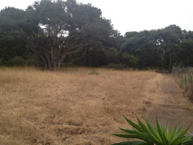 14571 TUMBLE WEED Lane, OTHER - SEE REMARKS, California 95076, ,Lots And Land,For Sale,TUMBLE WEED Lane,40966482