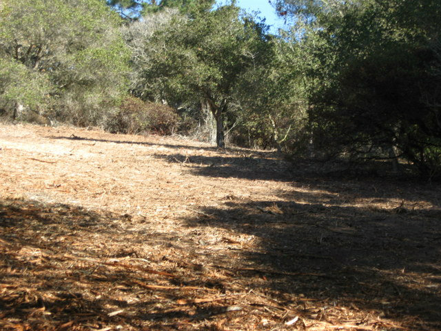 14571 TUMBLE WEED Lane, OTHER - SEE REMARKS, California 95076, ,Lots And Land,For Sale,TUMBLE WEED Lane,40966482