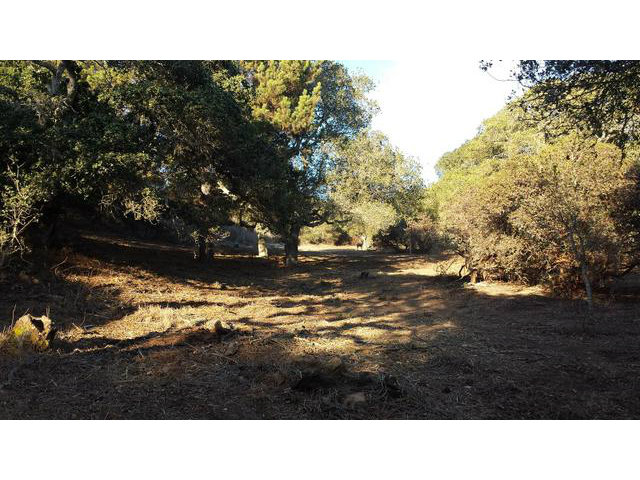 14571 TUMBLE WEED Lane, OTHER - SEE REMARKS, California 95076, ,Lots And Land,For Sale,TUMBLE WEED Lane,40966482