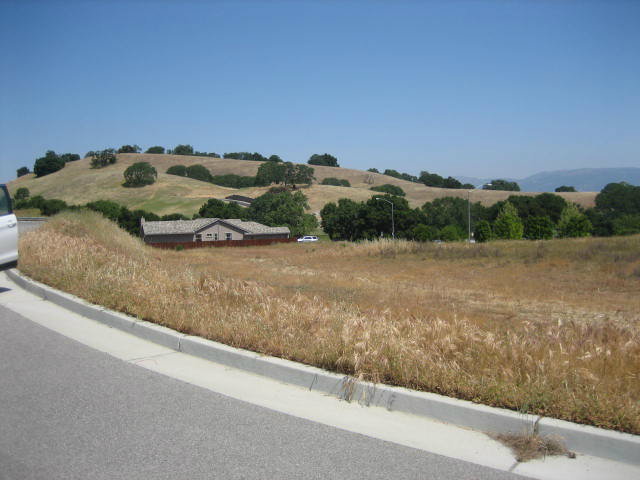 1810 CAROB Court, GILROY, California 95020, ,Lots And Land,For Sale,CAROB Court,40966497