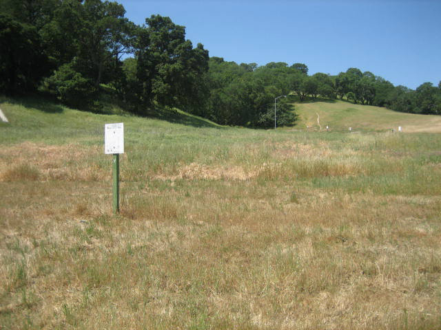 1830 CAROB Court, GILROY, California 95020, ,Lots And Land,For Sale,CAROB Court,40966496