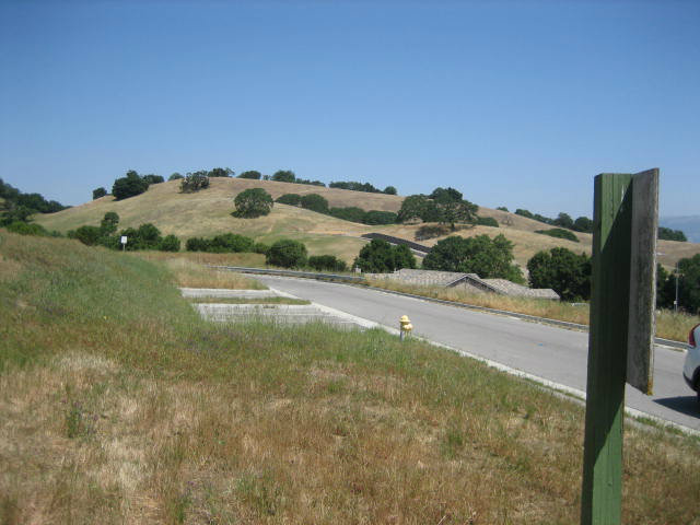 1830 CAROB Court, GILROY, California 95020, ,Lots And Land,For Sale,CAROB Court,40966496