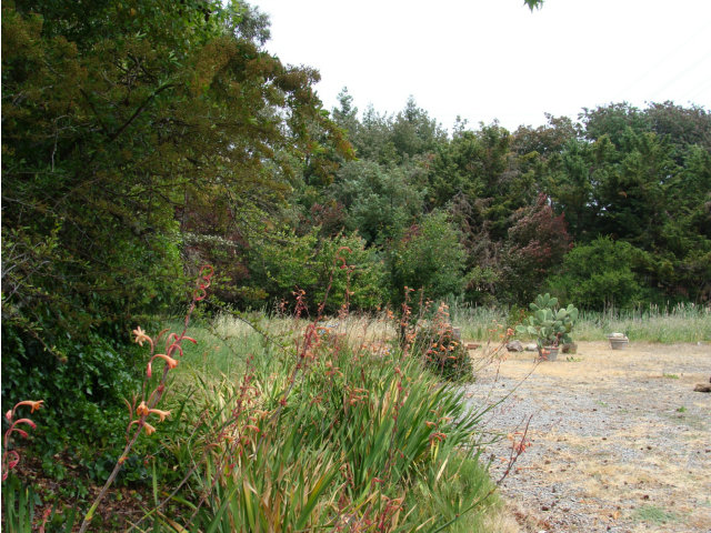 0 Sea Way, SAN RAFAEL, California 94901, ,Lots And Land,For Sale,Sea Way,40966490