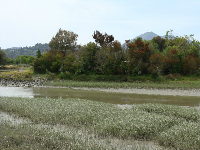 0 Sea Way, SAN RAFAEL, California 94901, ,Lots And Land,For Sale,Sea Way,40966490