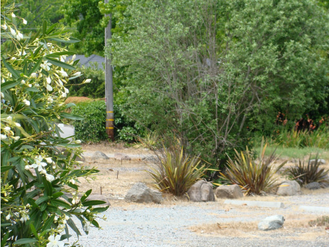 0 Sea Way, SAN RAFAEL, California 94901, ,Lots And Land,For Sale,Sea Way,40966490