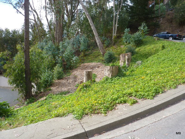 0 San Pedro, EL GRANADA, California 94018, ,Lots And Land,For Sale,San Pedro,40966478