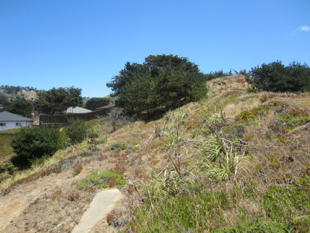 699 OCEANA Boulevard, PACIFICA, California 94044, ,Comm Lots And Land,For Sale,OCEANA Boulevard,40962728