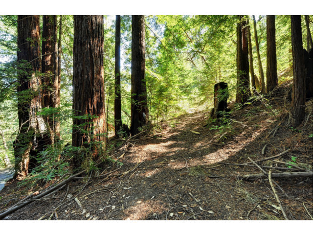 0 Hutchinson Road, LOS GATOS, California 95033, ,Lots And Land,For Sale,Hutchinson Road,40966477
