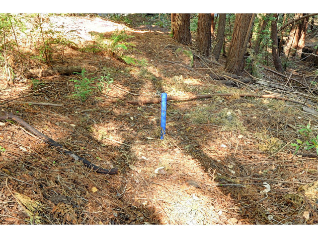 0 Hutchinson Road, LOS GATOS, California 95033, ,Lots And Land,For Sale,Hutchinson Road,40966477