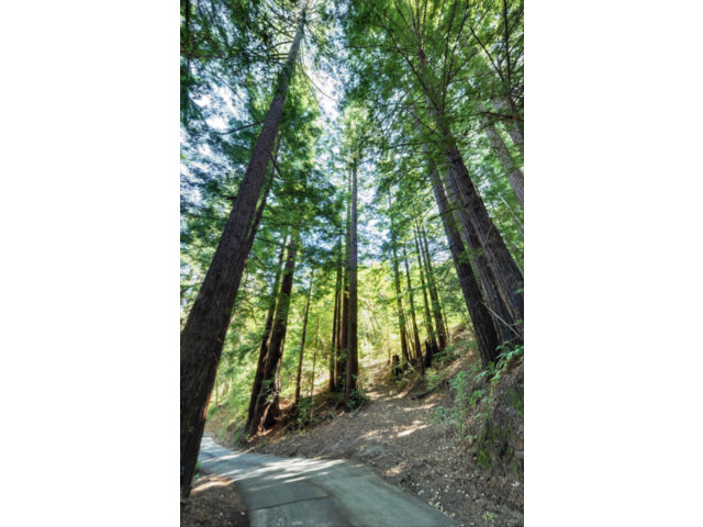 0 Hutchinson Road, LOS GATOS, California 95033, ,Lots And Land,For Sale,Hutchinson Road,40966477