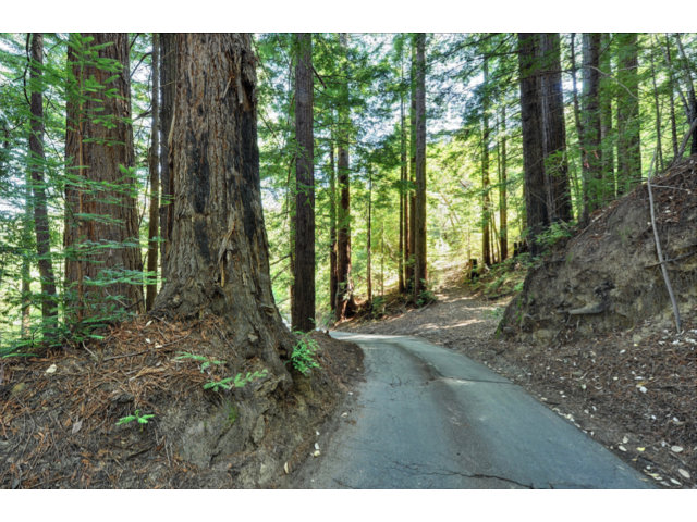 0 Hutchinson Road, LOS GATOS, California 95033, ,Lots And Land,For Sale,Hutchinson Road,40966477
