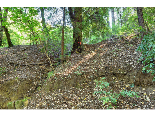 0 Hutchinson Road, LOS GATOS, California 95033, ,Lots And Land,For Sale,Hutchinson Road,40966477