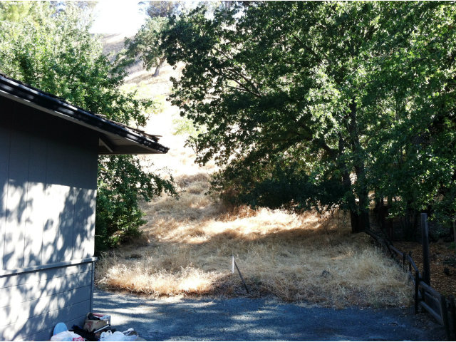 1568 SPRINGBROOK Road, WALNUT CREEK, California 94597, ,Lots And Land,For Sale,SPRINGBROOK Road,40966493