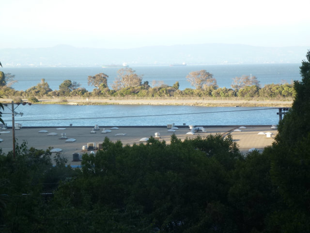 3852 BAYSHORE Boulevard, BRISBANE, California 94005, ,Lots And Land,For Sale,BAYSHORE Boulevard,40966492