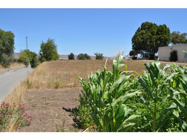 0 1ST Street, SAN JUAN BAUTISTA, California 95045, ,Lots And Land,For Sale,1ST Street,40966488
