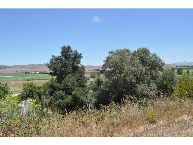 0 1ST Street, SAN JUAN BAUTISTA, California 95045, ,Lots And Land,For Sale,1ST Street,40966488