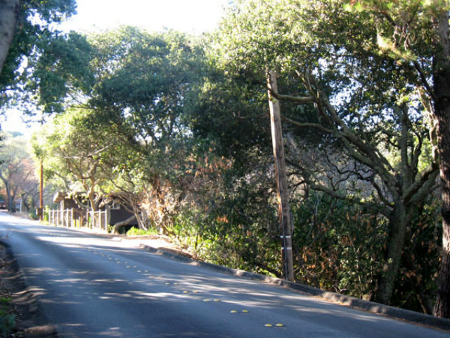0 PALOMAR Drive, REDWOOD CITY, California 94062, ,Lots And Land,For Sale,PALOMAR Drive,40966487