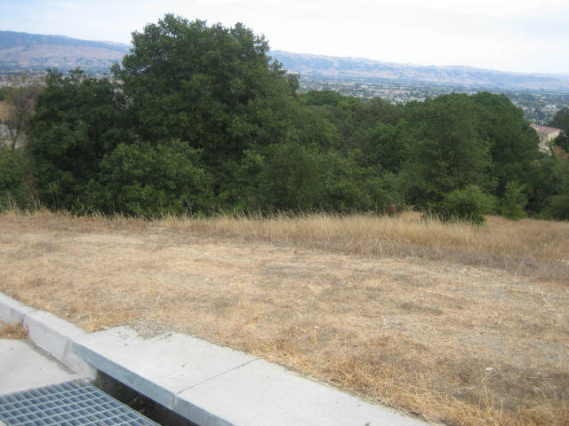 9010 TEA TREE Way, GILROY, California 95020, ,Lots And Land,For Sale,TEA TREE Way,40966480