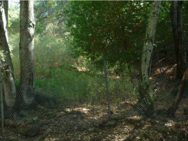 0 PARK Way, SUNOL, California 94586, ,Lots And Land,For Sale,PARK Way,40966471