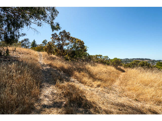 0 BISHOP Road, BELMONT, California 94002, ,Lots And Land,For Sale,BISHOP Road,40966470