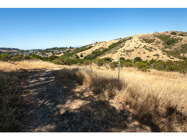 0 BISHOP Road, BELMONT, California 94002, ,Lots And Land,For Sale,BISHOP Road,40966470