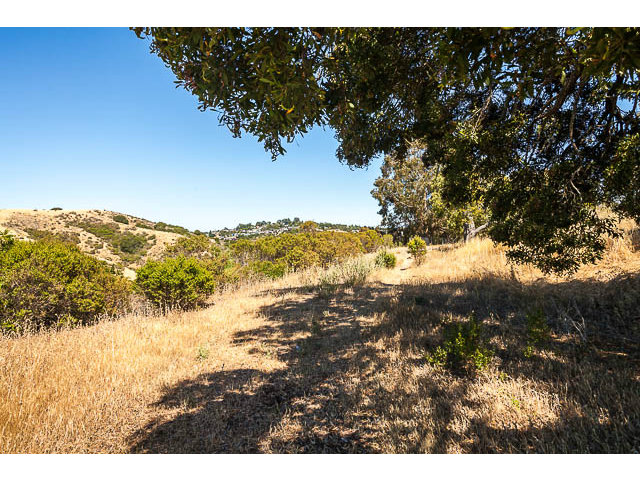 0 BISHOP Road, BELMONT, California 94002, ,Lots And Land,For Sale,BISHOP Road,40966470