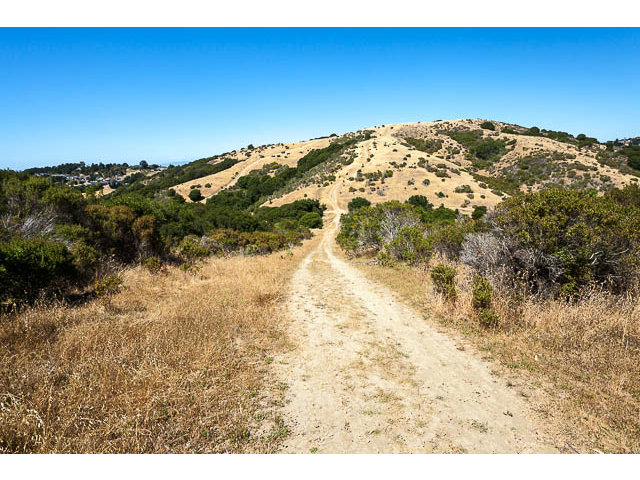 0 BISHOP Road, BELMONT, California 94002, ,Lots And Land,For Sale,BISHOP Road,40966470