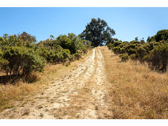 0 BISHOP Road, BELMONT, California 94002, ,Lots And Land,For Sale,BISHOP Road,40966470