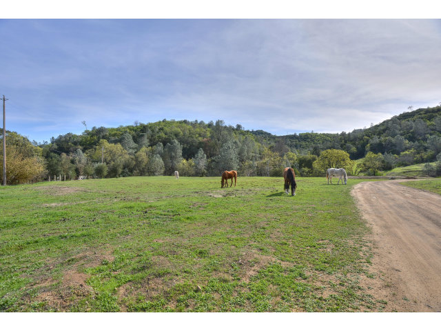 0 Uvas Road, MORGAN HILL, California 95037, ,Lots And Land,For Sale,Uvas Road,40966465