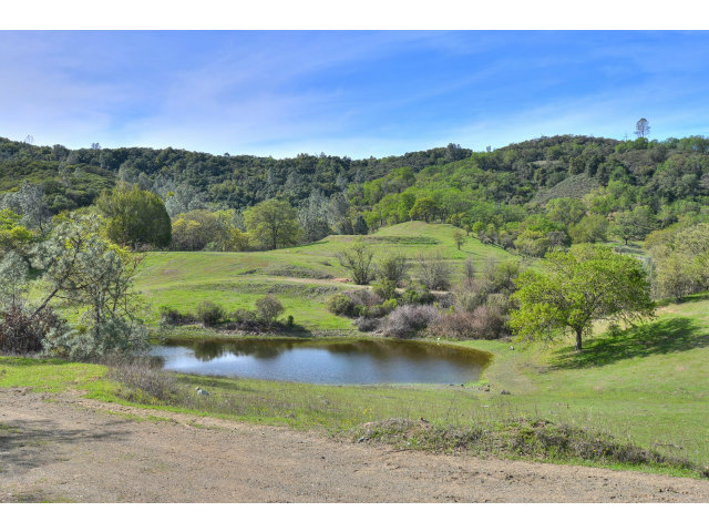 0 Uvas Road, MORGAN HILL, California 95037, ,Lots And Land,For Sale,Uvas Road,40966465