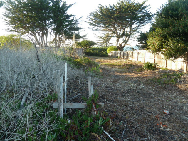 0 MAIN Street, MONTARA, California 94037, ,Lots And Land,For Sale,MAIN Street,40966500