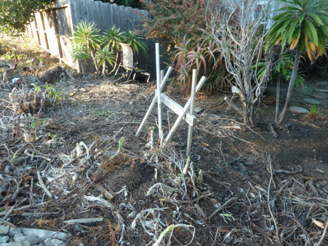 0 MAIN Street, MONTARA, California 94037, ,Lots And Land,For Sale,MAIN Street,40966500