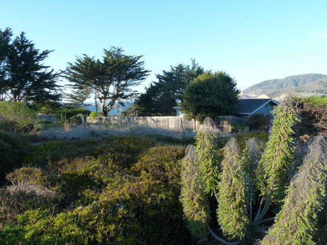 0 MAIN Street, MONTARA, California 94037, ,Lots And Land,For Sale,MAIN Street,40966500