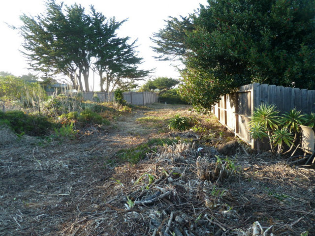 0 MAIN Street, MONTARA, California 94037, ,Lots And Land,For Sale,MAIN Street,40966500