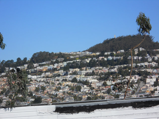 9 EDGAR Place, OTHER - SEE REMARKS, California 94112, ,Lots And Land,For Sale,EDGAR Place,40966499