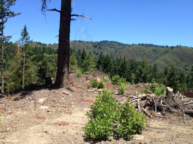0 Skyview Road, SAN LORENZO, California 95006, ,Lots And Land,For Sale,Skyview Road,40966461