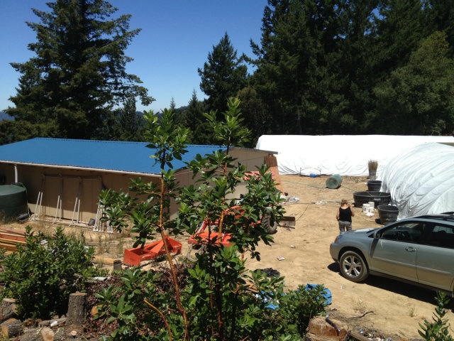 0 Skyview Road, SAN LORENZO, California 95006, ,Lots And Land,For Sale,Skyview Road,40966461