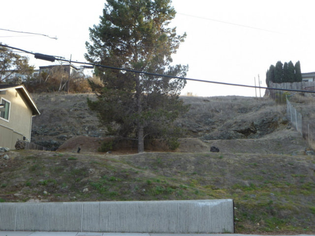 150 SENTER Road, SAN JOSE, California 95111, ,Lots And Land,For Sale,SENTER Road,40966460
