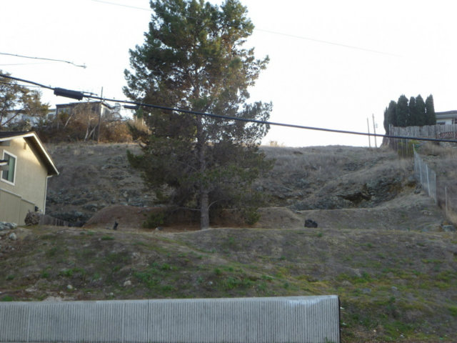 150 SENTER Road, SAN JOSE, California 95111, ,Lots And Land,For Sale,SENTER Road,40966460
