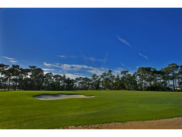 32 Poppy Lane, PEBBLE BEACH, California 93953, ,Lots And Land,For Sale,Poppy Lane,40966498