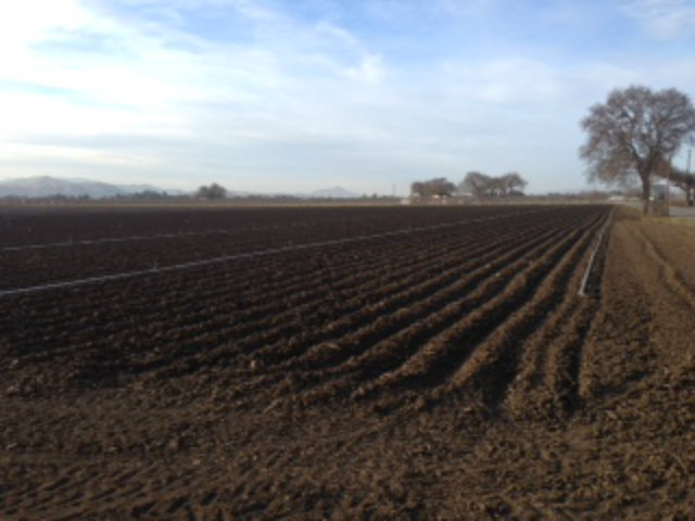 1075 LAS ANIMAS Avenue, GILROY, California 95020, ,Lots And Land,For Sale,LAS ANIMAS Avenue,40966486