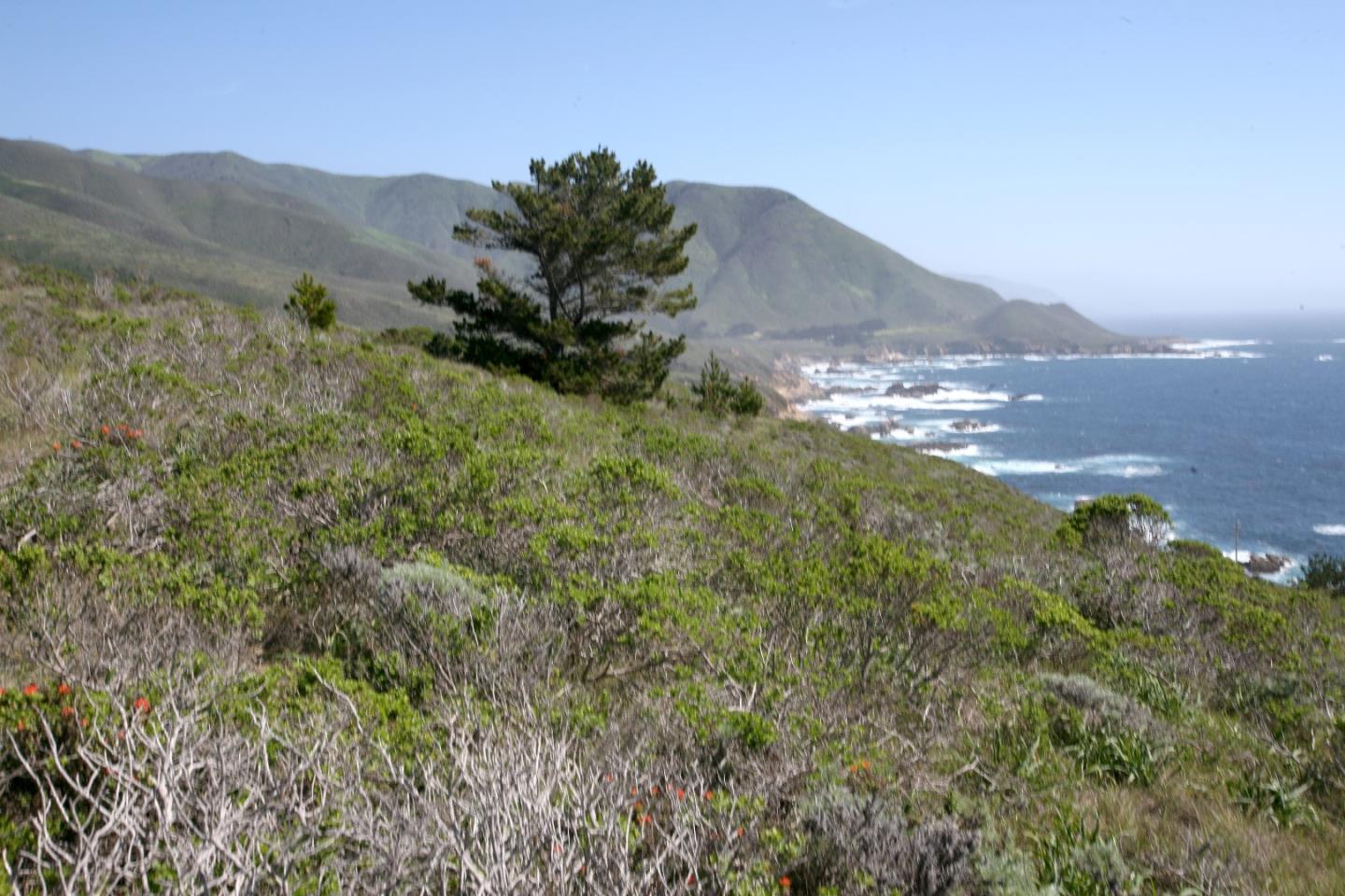 31613 Highway 1, OTHER - SEE REMARKS, California 93923, ,Lots And Land,For Sale,Highway 1,40966458