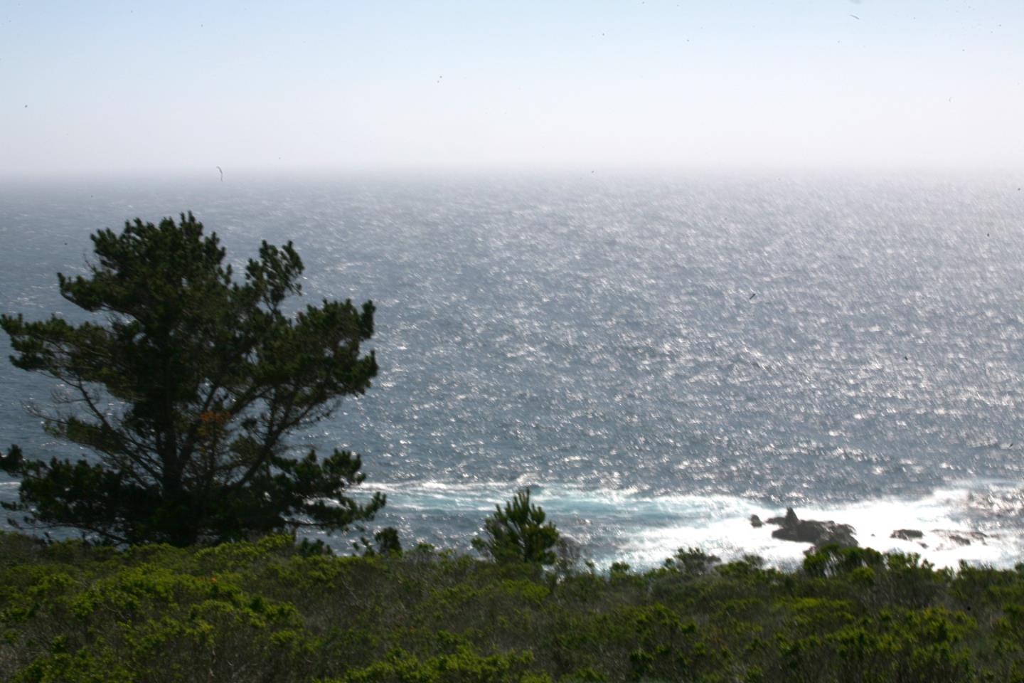 31613 Highway 1, OTHER - SEE REMARKS, California 93923, ,Lots And Land,For Sale,Highway 1,40966458