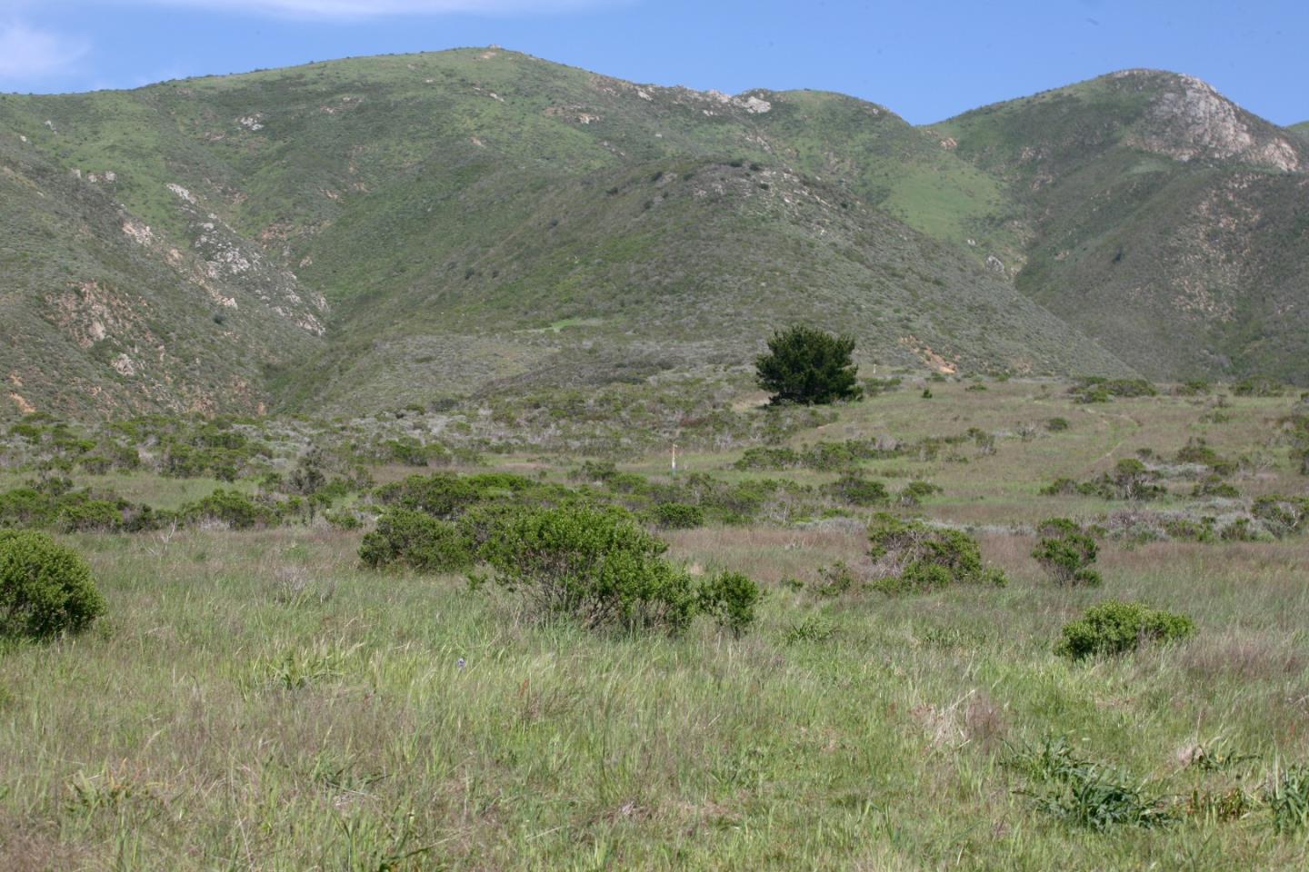 31613 Highway 1, OTHER - SEE REMARKS, California 93923, ,Lots And Land,For Sale,Highway 1,40966458