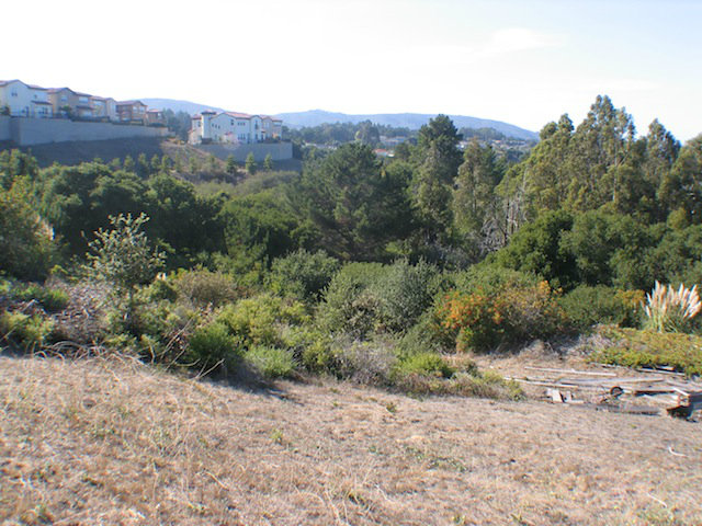 0 El Capitan Drive, MILLBRAE, California 94030, ,Lots And Land,For Sale,El Capitan Drive,40966455